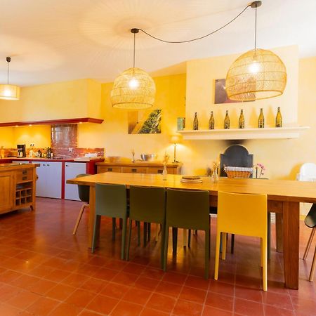 Domaine De Cantalauze Trèbes Extérieur photo