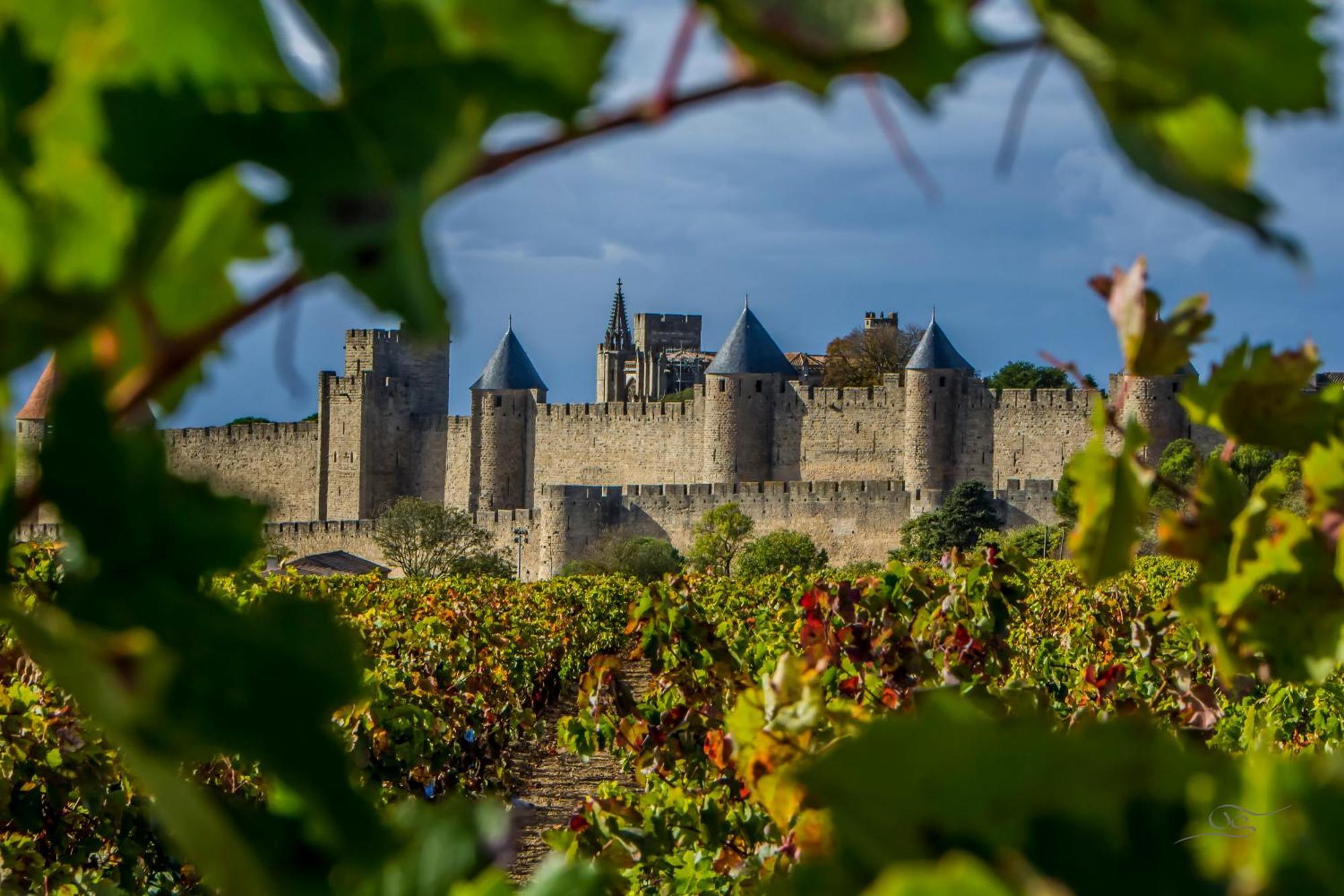 Domaine De Cantalauze Trèbes Extérieur photo